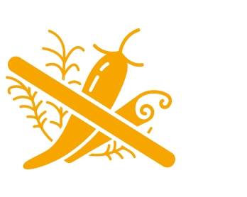 Ongekruid