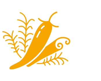 Gekruid
